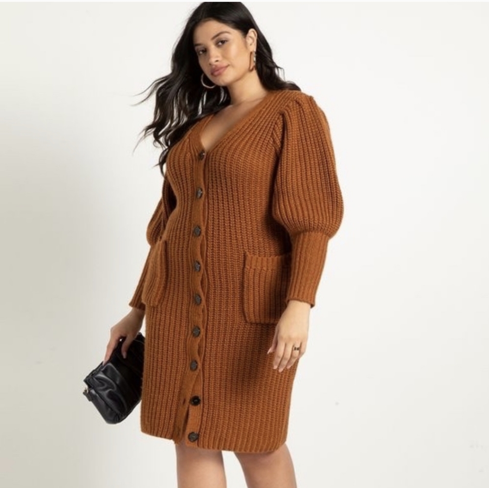 NWT Eloquii Sweater Dress